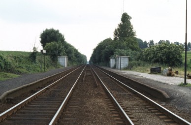 Beert-Bellingen - TH 80-6347 (1).jpg